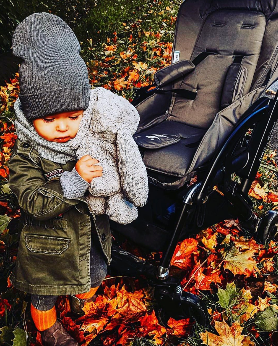 Limo Vidiamo stroller: 5 reasons to choose it